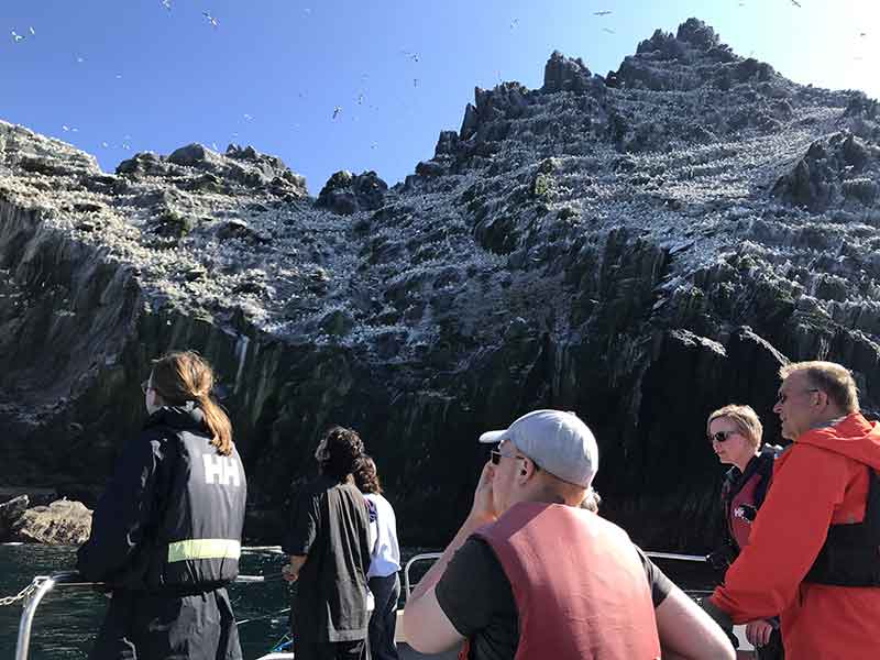 Tourists watching the gannet colony on an Eco Tour