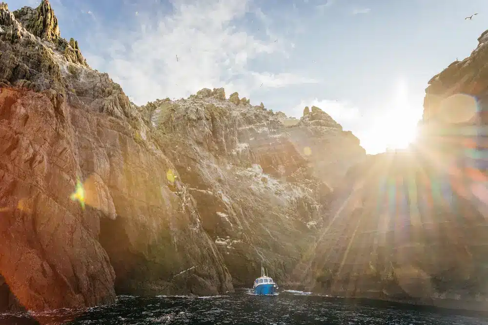 Skellig Michael Eco Tour - Boat at Little Skellig and Skellig Michael